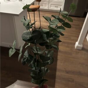 Faux eucalyptus stem
